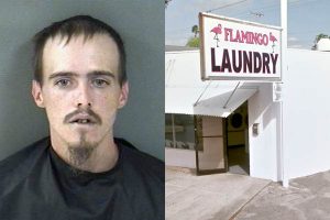 A man was arrested in Vero Beach after stealing a purse from a vehicle parked near Flamingo Laundry.