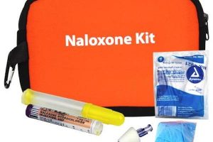 Deputies save life after using Narcan kit on Vero Beach patient.