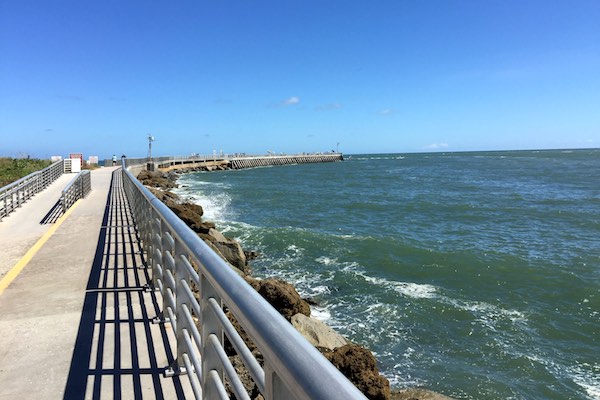 Fish caught in red tide waters is safe to eat, according to FWC.