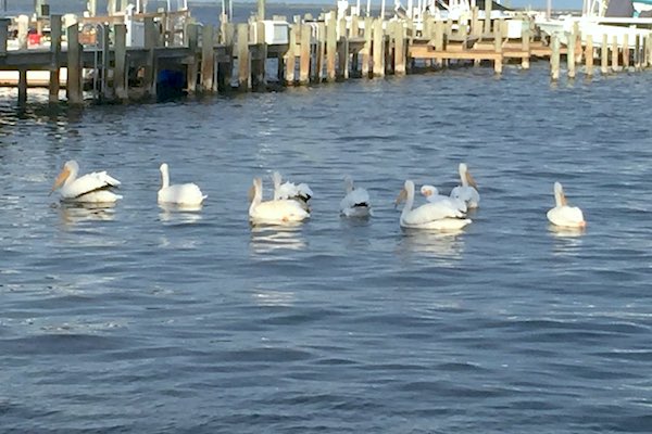 Cold morning in Sebastian and Vero Beach, Florida.