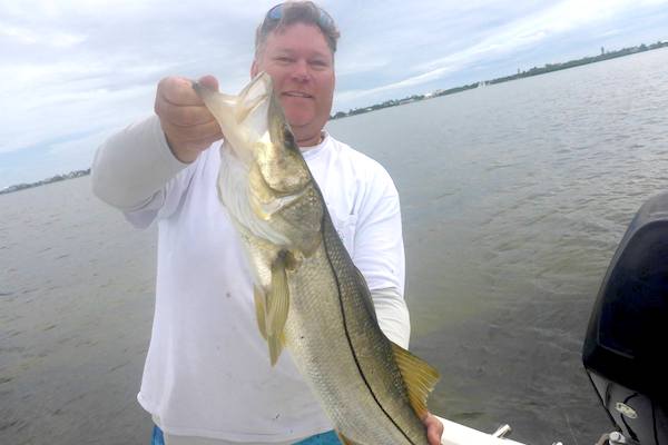 Pictured here is Jason Ogilvie with a snook in Sebastian, Florida.