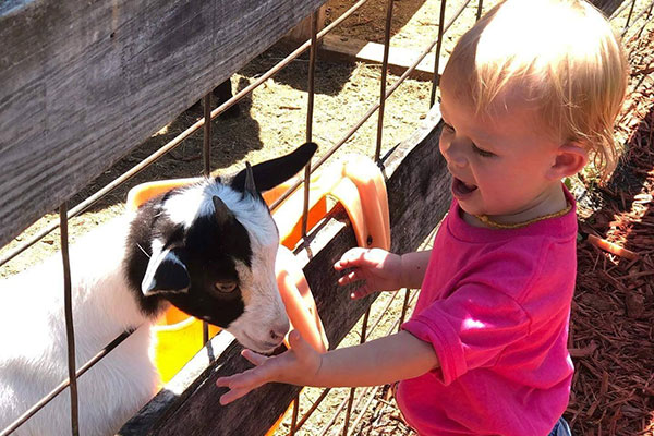 LaPorte Farms is hosting a Grandparents Raising Grandkids Fun Day in Sebastian, Florida.