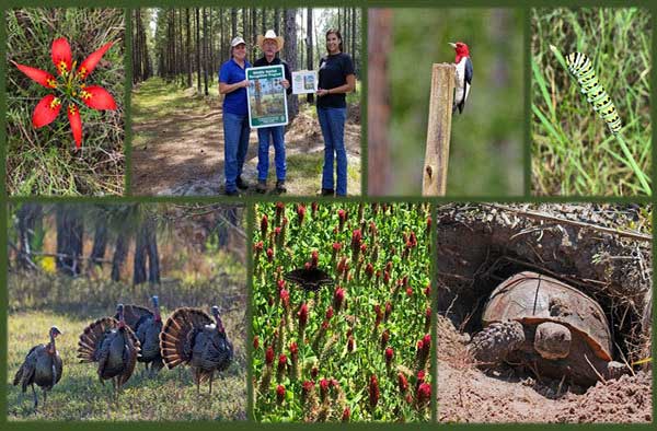 FWC develops the Wildlife Habitat Recognition Program.