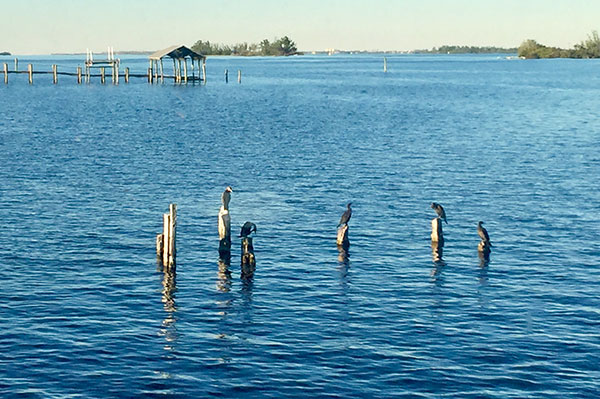 Beautiful weather on Thanksgiving Day in Sebastian, Florida.