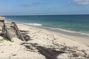 Indian River County beaches.