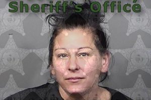 Jamie Dawn Carrillo was arrested in Barefoot Bay, Florida.