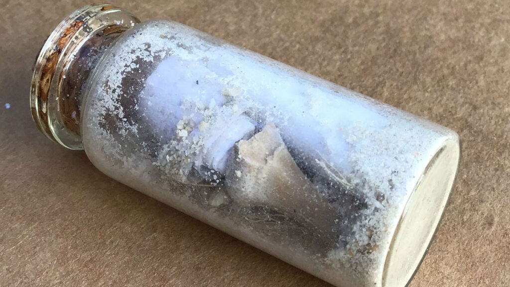 Message in a Bottle found in Sebastian, Florida.