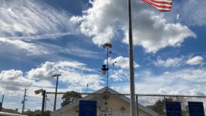 Baseball Concession Horn and Strobe