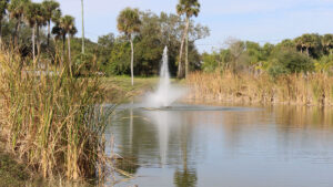 Pond near Schumann Drive in Sebastian.