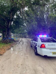 Tree down in Fellsmere