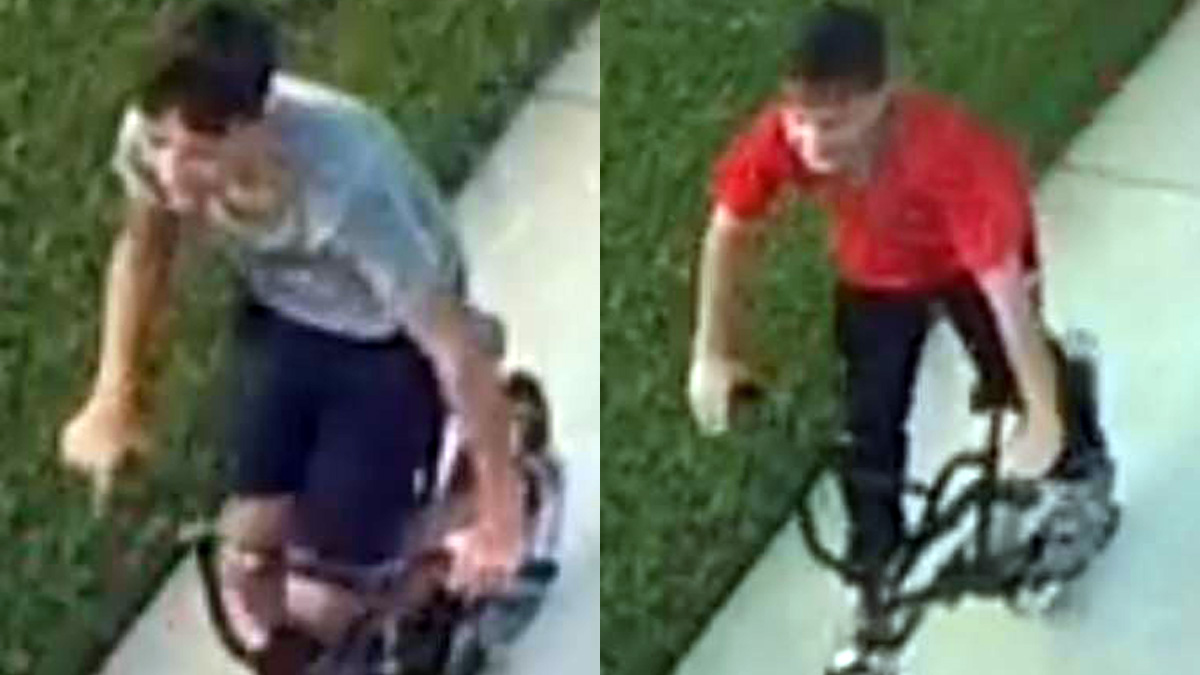 2 suspects sought in vandalism.