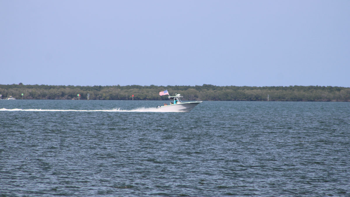 Boat Parade