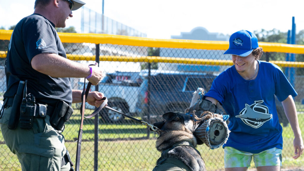 Badges to Baseballs