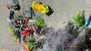 Sebastian Inlet Cleanup