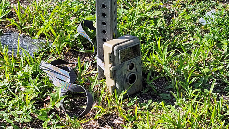 Camera found next to LaDonna Corbin's campaign sign