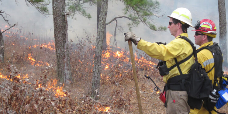 Fire Weather Watch