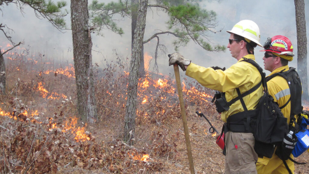 Fire Weather Watch