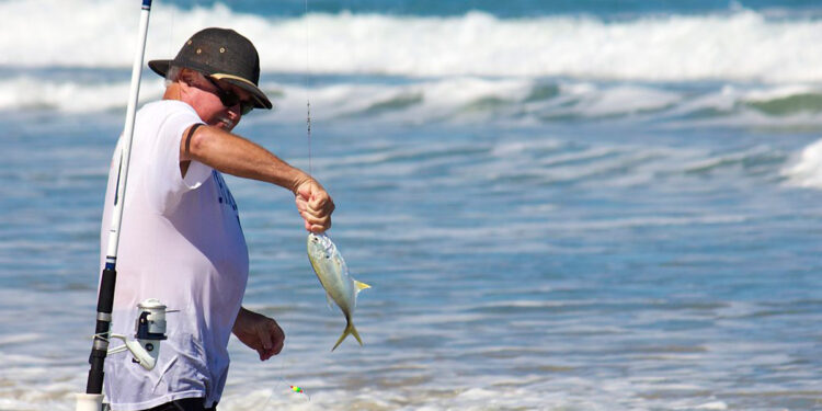 Pompano fish at Sebastian Inlet