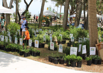 Earth Day & Arbor Day Celebration in Sebastian, Florida