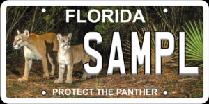 Protect the Panther Florida license plate.