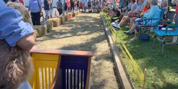 Wiener Dog Races