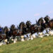 Clydesdales are coming to Sebastian, Florida