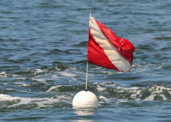 FWC Encourages Awareness and Divers-Down Flag Compliance (Credit: FWC)