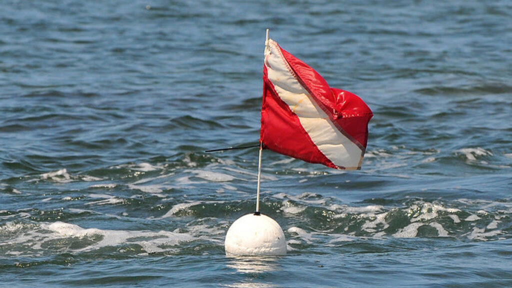 FWC Encourages Awareness and Divers-Down Flag Compliance (Credit: FWC)