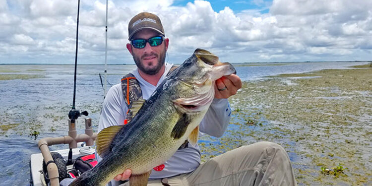 Florida Bass